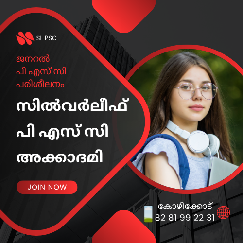 silver leaf psc academy kozhikode