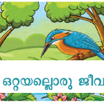 അഞ്ചാം ക്ലാസ് അടിസ്ഥാന ശാസ്ത്രത്തിലെ ഒറ്റയല്ലൊരു ജീവിയും എന്ന ഒന്നാമത്തെ അദ്ധ്യായത്തില്‍നിന്നും കേരള പി എസ് സി പരീക്ഷയ്ക്ക് ചോദിക്കാന്‍ സാധ്യതയുള്ള വസ്തുതകളും അവയുടെ അനുബന്ധ വസ്തുതകളും നമുക്ക് പഠിക്കാം